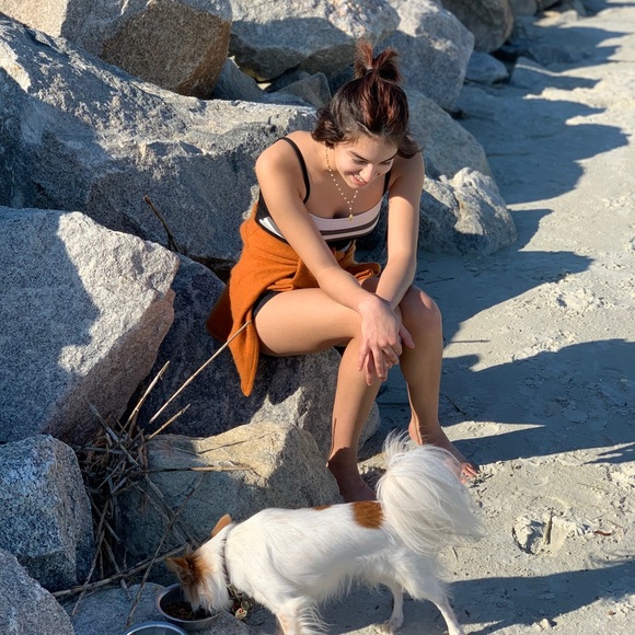 📖🪴Spring Is in the Air🪴Bookmark 🐾🌻 - Picture 11 of 16